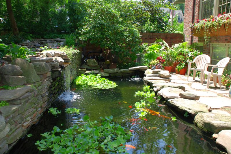 Garden Pond Installation